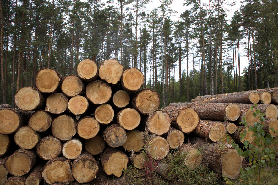 環境に配慮したノベルティ国産ヒノキの間伐材を使用したスマホスタンド